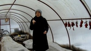 Озимые томаты !!! Посев под зиму ,часть первая ПОСЕВНАЯ !!!