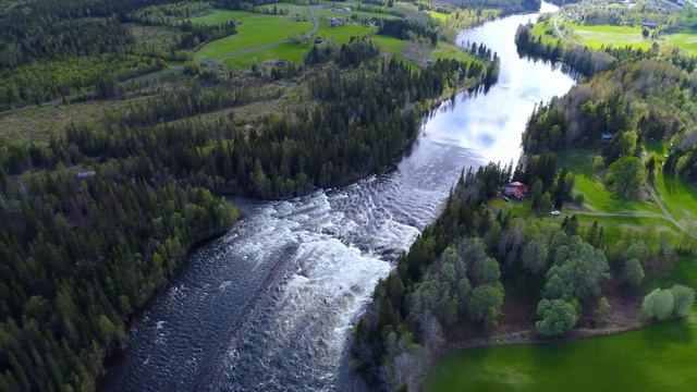 Beautiful Romantic Violin, Piano, Guitar Instrumental Classical Music 🎻 The Best of Classical Music смотреть онлайн