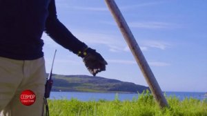 Баренцево море ч. 5. Очищаем берег от пластика