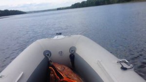 Badger Fishing Line 390 + Tohatsu 18