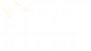 ПМ 17 Т воронения