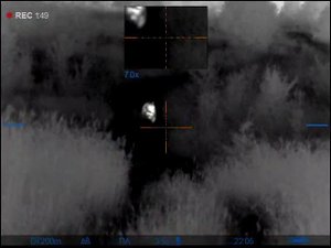 Медведь Russian Bear