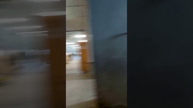 Шикарно конь устроился