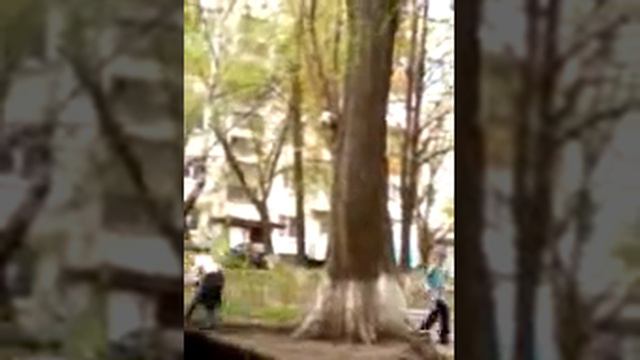 Мяч зараза застрял смотреть онлайн