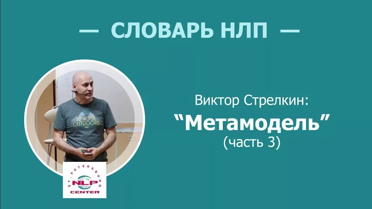 Словарь НЛП. Что такое метамодель? Часть 3 из 5. Виктор Стрелкин (2017 г.)