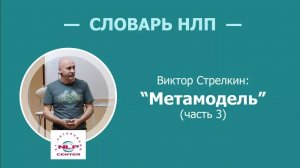 Словарь НЛП. Что такое метамодель? Часть 3 из 5. Виктор Стрелкин (2017 г.)