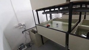 УЗВ для креветки Розенберга и Австралийского рака в Ялте.
Компания ООО "Корал Фиш"