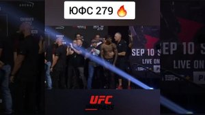 юфс 279 ,спорт, бои, драки,нокаут мма  юфс