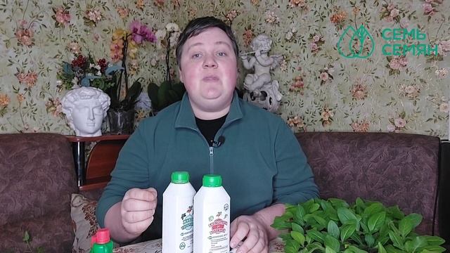 Как не загубить рассаду при высадке в открытый грунт, теплицу, парник смотреть онлайн