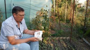 Редис подкормка важная и единственная.