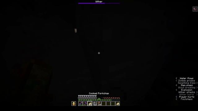 killing a wither (Flamecraft SMP) смотреть онлайн