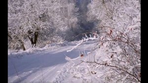 Лена Савельева(Леха) - Первый снег