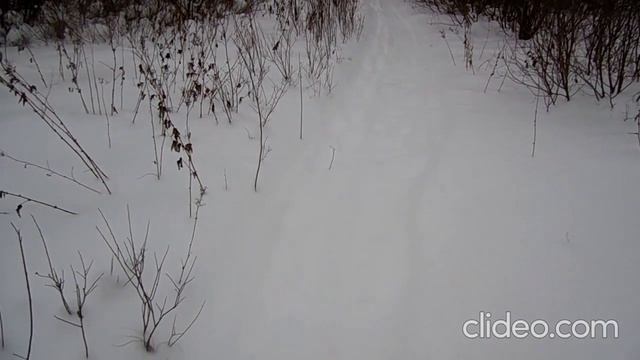 Повадки лисы. смотреть онлайн