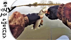 ЗДЕСЬ ТАКАЯ РЫБА, ЧТО БЕЗ ТРУСОВ В ВОДУ НЕ ЗАЙТИ. разрушители легенд