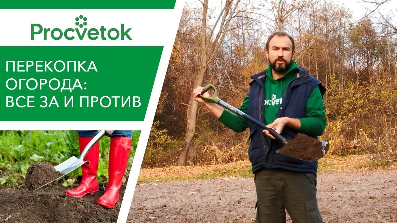 Копать или не копать огород осенью? Разберем все ЗА и ПРОТИВ