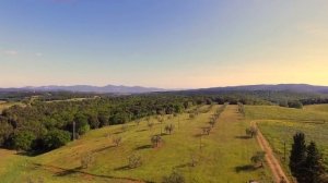 Azienda agricola in Maremma Toscana con uliveto e vigneto  Rif  EZ-516