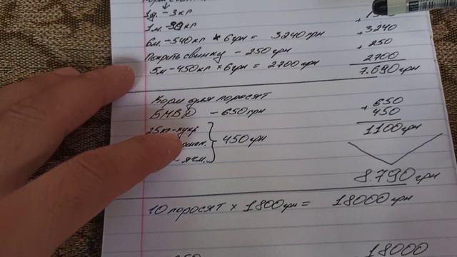 Какой доход на свиньях??? Бизнес на свиньях!!! смотреть онлайн