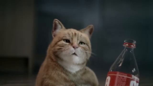 Funny Cats Coub - Прикольные Коты - Лучшие Кубы С% Кошками