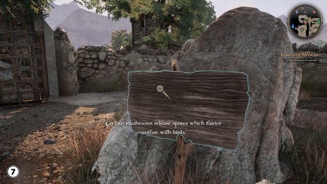 All Fairy Puzzles Solved in Baedish Lowlands Walkthrough - The Bard's Tale IV смотреть онлайн