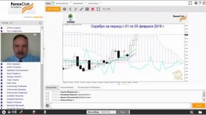 Forex Club  Еженедельный обзор работы торговой системы «Бонсай» 08 02 2016 2