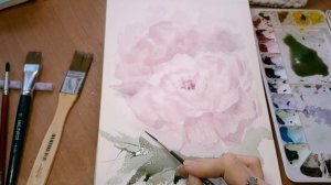 Как нарисовать цветы акварелью просто. Пионы. Акварель для начинающих.