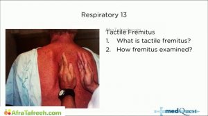 MedQuest’s Get Physical 2023 — Дыхательная система 2/2 РАЗДЕЛ — (для USMLE Step 1, COMLEX)