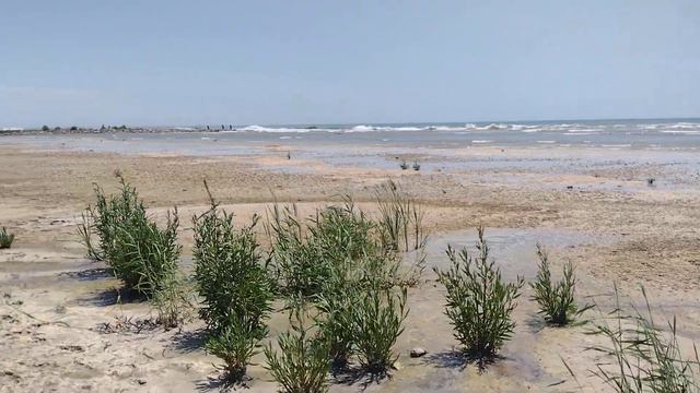 17.07.2023 Обстановка на Каспийском море. Волны. Купаться нельзя. #казахстан #актау