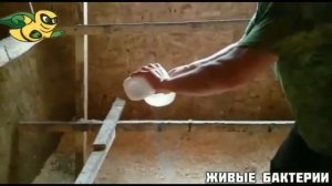 Живые бактерии. Инструкция по применению Скотный двор