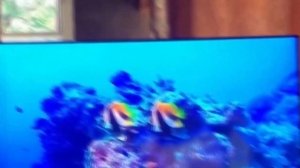 Телевизор LG OLED48A2RLA НОВИНКА 2022