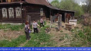 Жители Хрустальной жалуются на лай собак