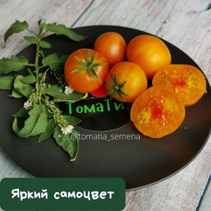 Яркий самоцвет