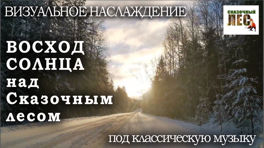 Лесное наслаждение. Лес наслаждений.