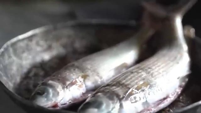 Агафья Лыкова с семьёй. Как их настигла цивилизация смотреть онлайн