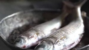 Агафья Лыкова с семьёй. Как их настигла цивилизация