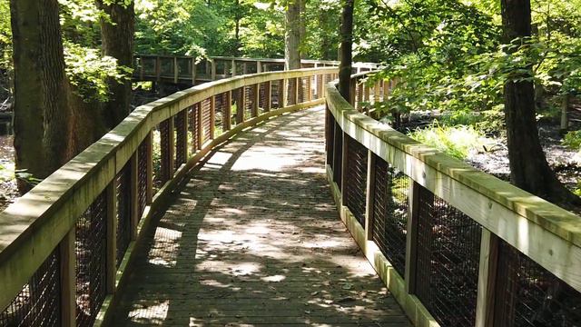 Трогательная притча о настоящей любви: смотреть онлайн