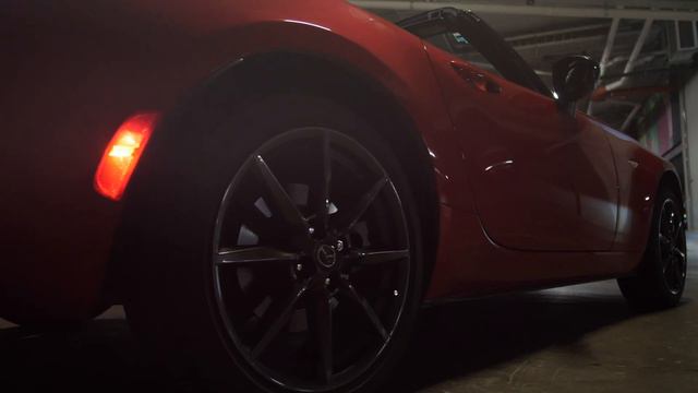 BRuys  EKTALY - Амазонка