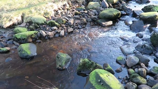 #BelieveInFilm - Lubitel 166B + Portra 400 - Landscape shoot смотреть онлайн