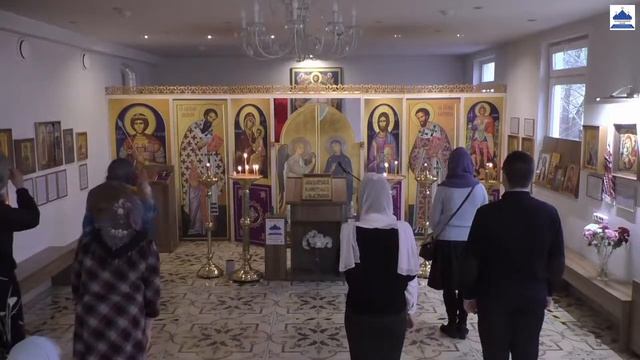 Литургия. Бессребреников и чудотворцев Космы и Дамиана. 14.11.2020 смотреть онлайн