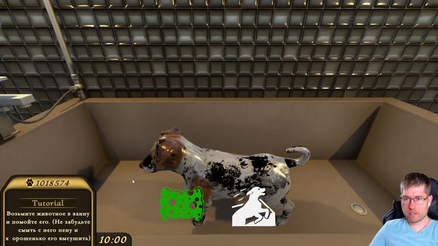 Pets Hotel - Стал владельцем отеля для животных