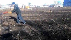 боронование мотоблоком