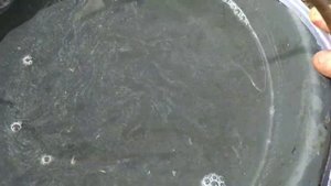 СТИМУЛЯТОР роста растений. Активизируется рост только после этого удобрения