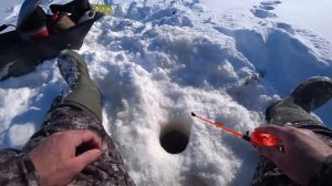 Приехал на новое место и не зря!!! Кто ищет тот найдет!!! Зимняя рыбалка 2024 г