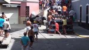 Toros Monserrat 2010 - Bousapaiporta.es