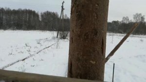 Строим теплицу  пошагово  12х24 м. из кругляка .    (Часть вторая.)