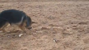 Euphoria Nord Shtorm!!!! 6.5m . 2.11.2013