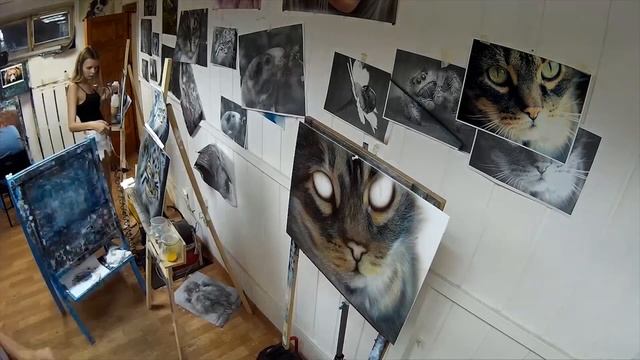 Как нарисовать кота? Аэрография (фото в конце) смотреть онлайн