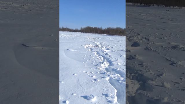 ЩУКА НА ЖЕРЛИЦУ #ТАЙГАХМАО