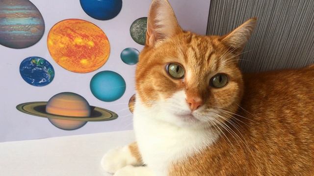 Планеты для детей: изучаем Солнечную Систему!