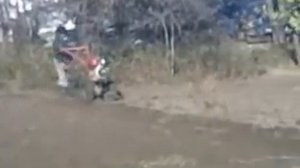 МОТОБЛОК. зубр Х31+плуг