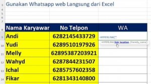 Cara Menggunakan Whatsapp Web Langsung dari Excel